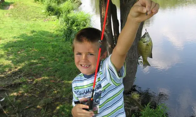 Kids Fishing Poles for a Summer to Remember
