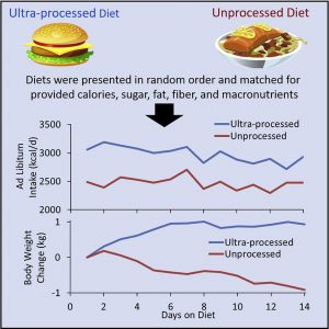 Ultra-processed foods and obesity